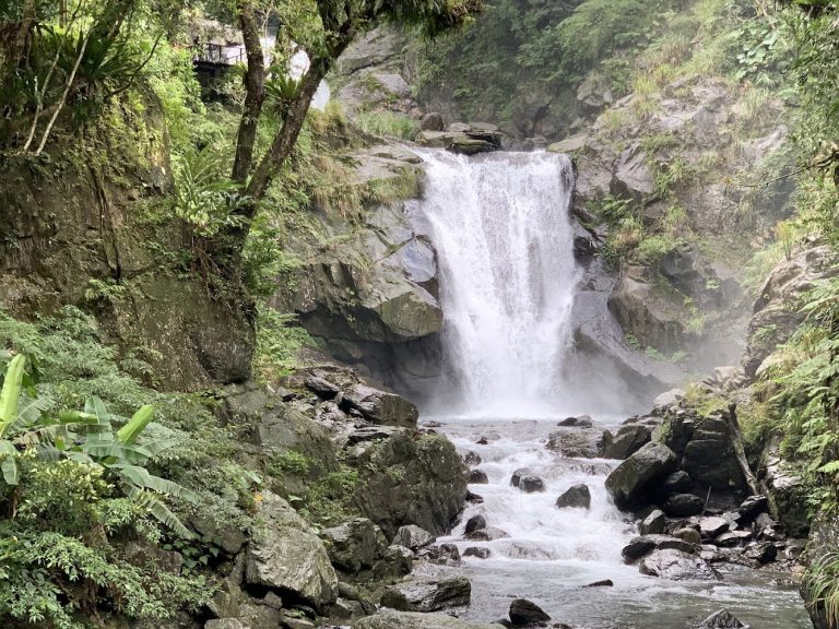 烏來避暑景點：在清涼氣候下盡情享受大自然的魅力