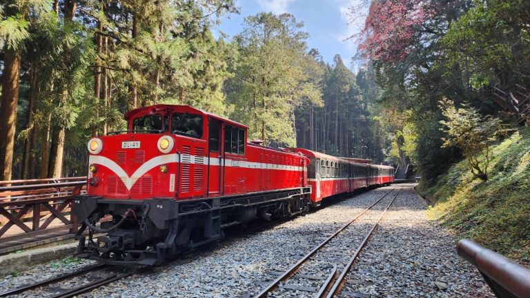 阿里山小火車旅遊指南｜搭乘森林鐵路，穿越雲海與檜木森林的奇幻之旅