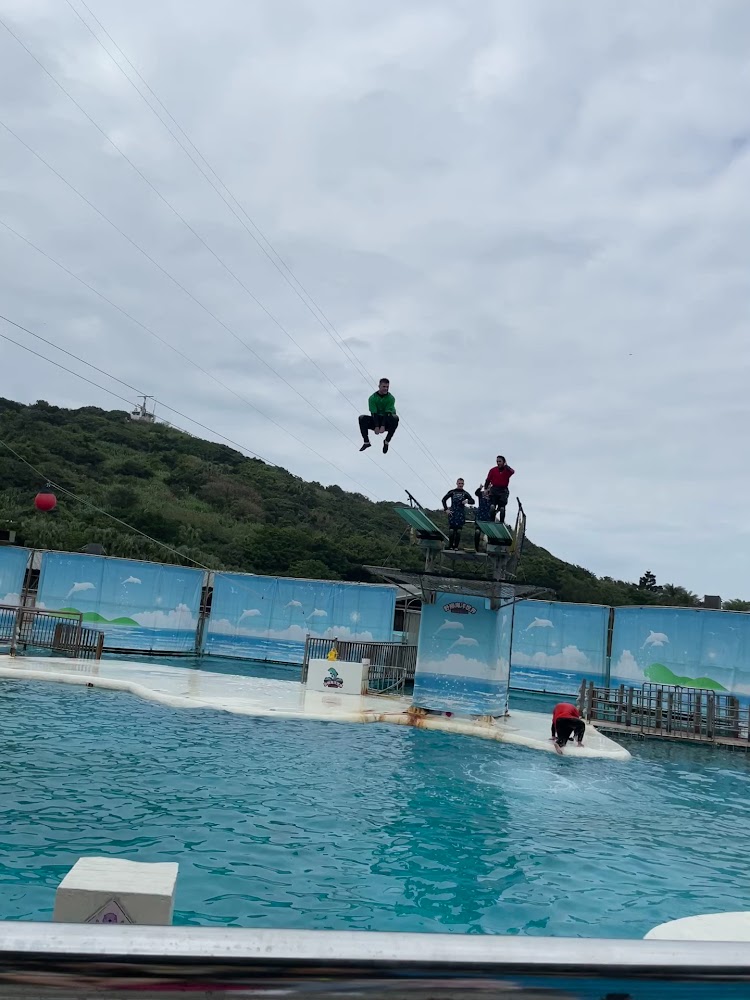 野柳海洋世界:探索台灣的海洋奇觀與歡樂時光
