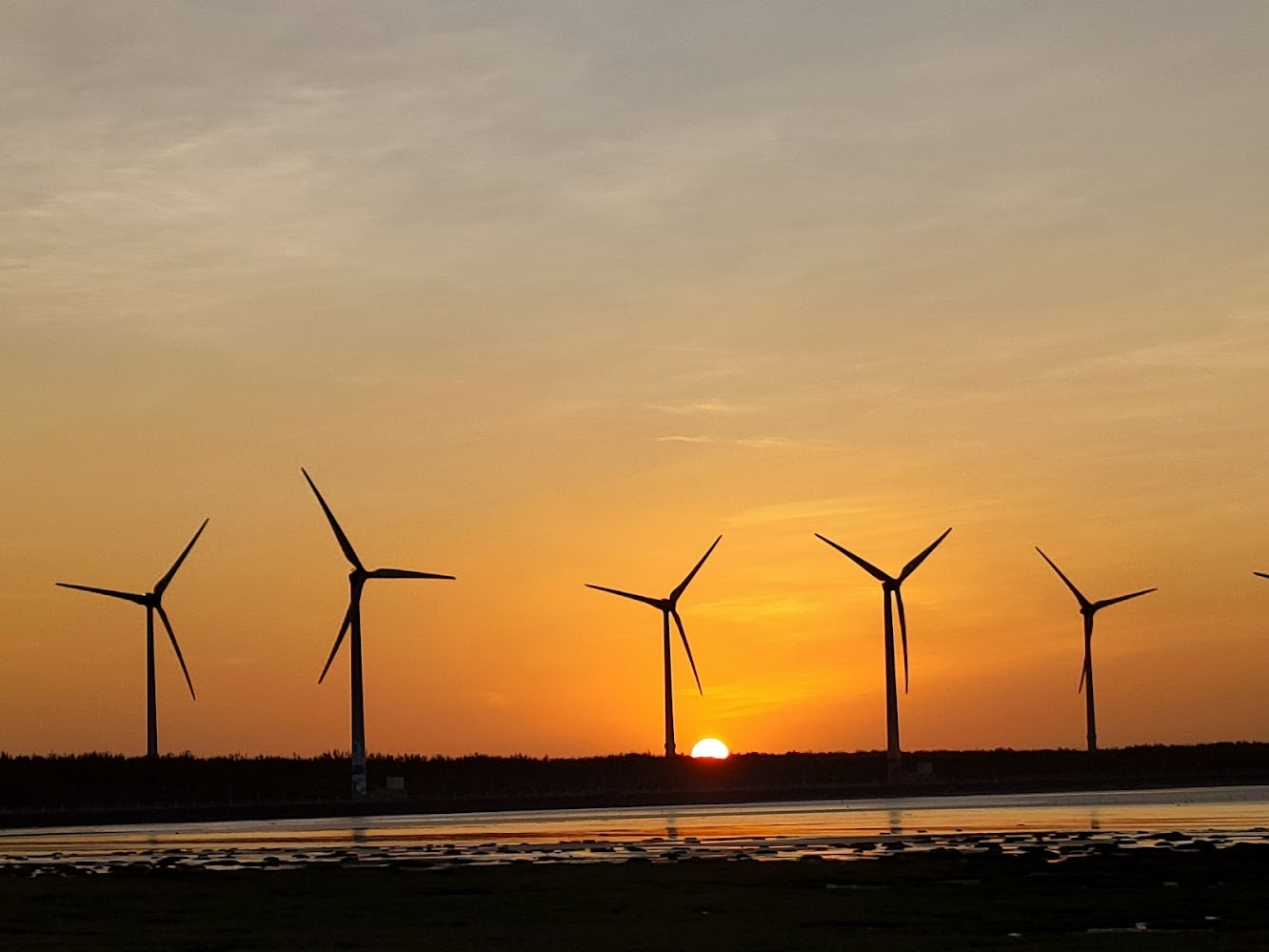 高美濕地木棧道