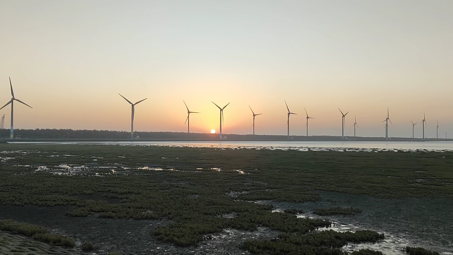 高美濕地木棧道