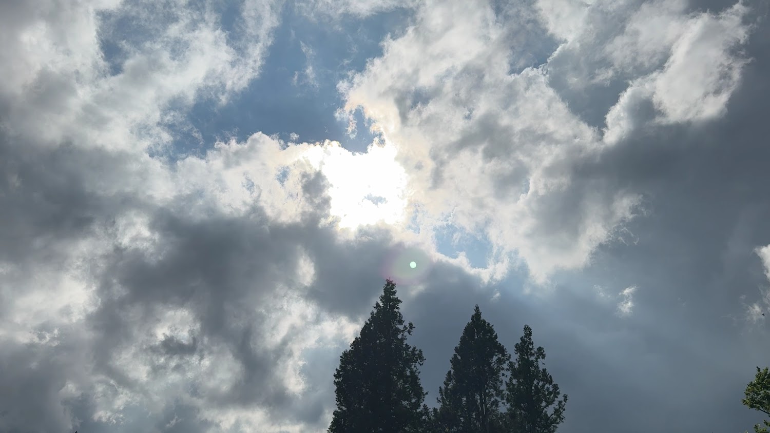 全部｜探索福壽山農場的最佳體驗指南