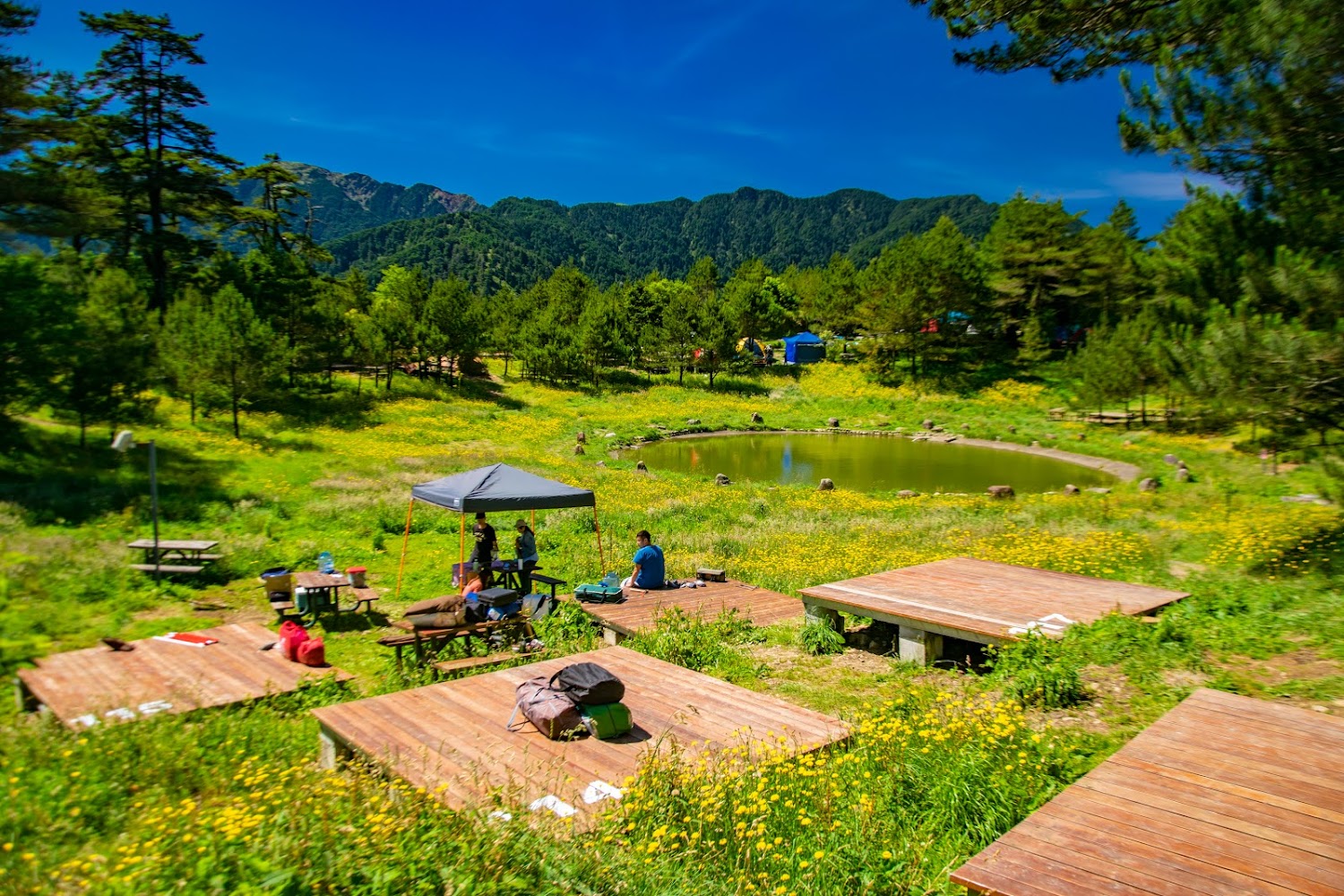 福壽山農場