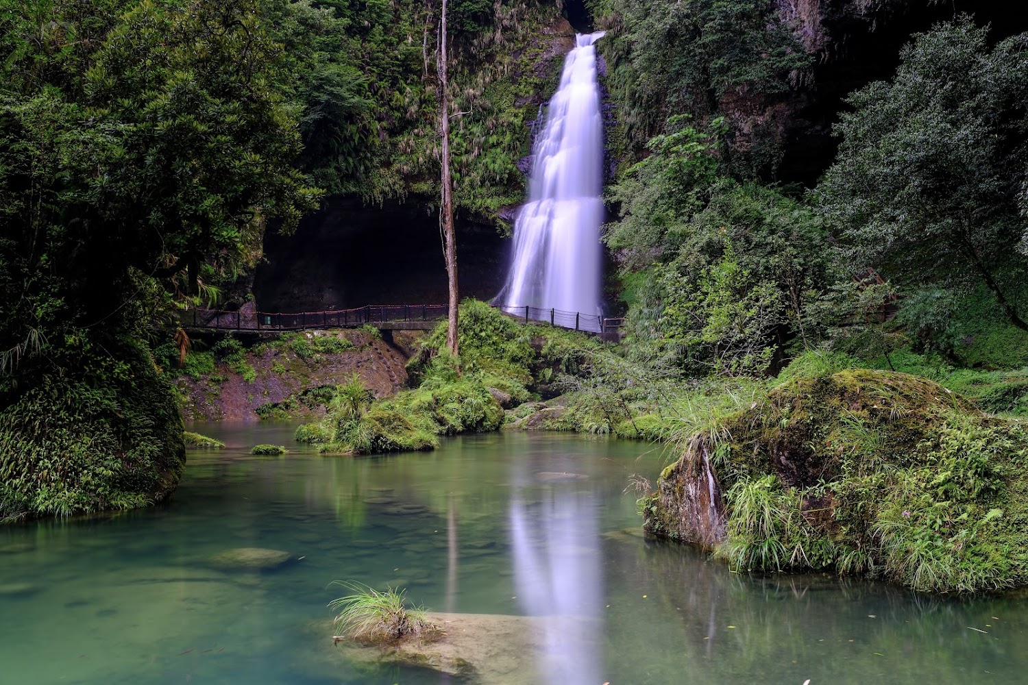 杉林溪森林生態渡假園區的美麗與神秘：探索自然之美