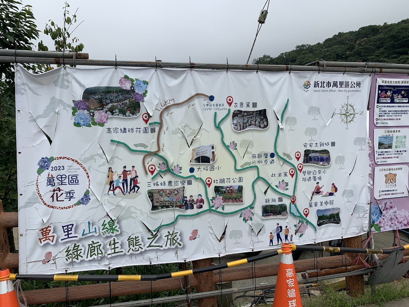 高家繡球花田：2025年必去的繡球花盛會