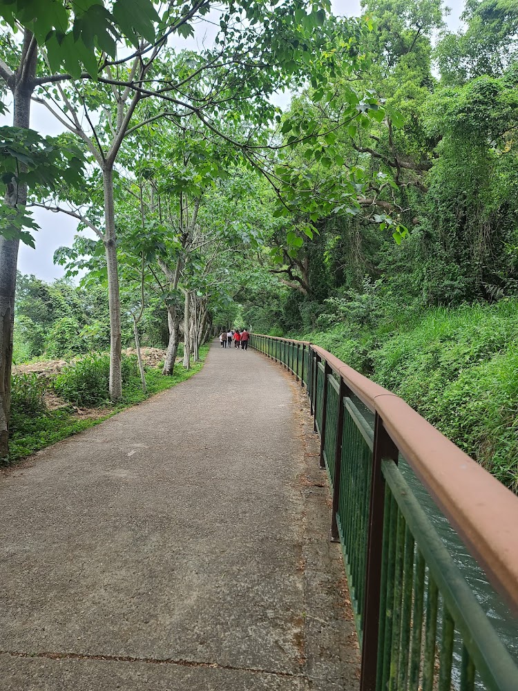 苗栗6月花季必去景點推薦｜體驗花露農場、銅鑼杭菊花季！