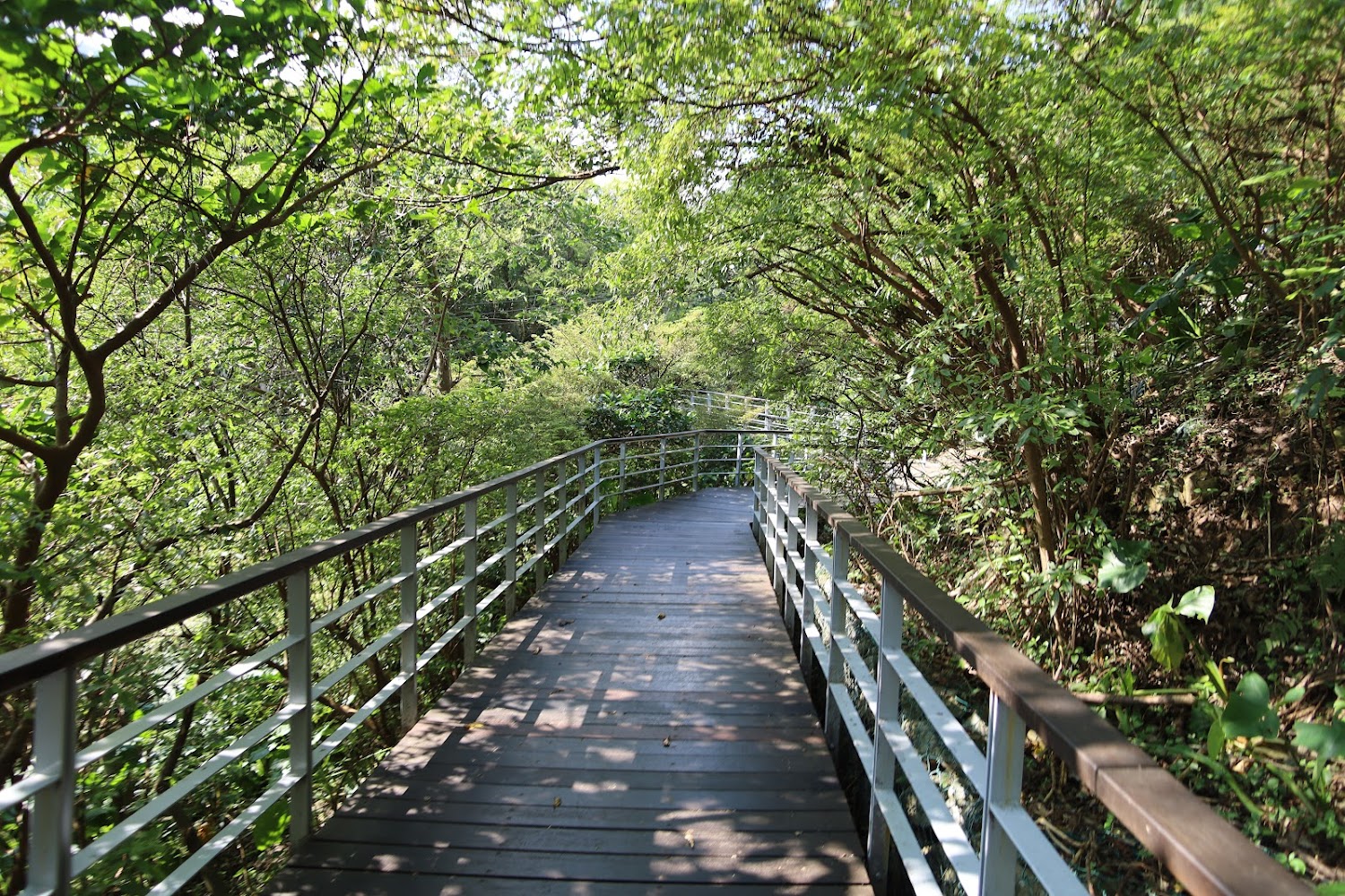 台北親子健行推薦｜五條友善步道，讓孩子在自然中成長、放電又學習！