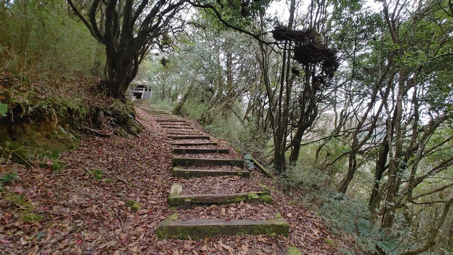 Hiking trail to Takayama