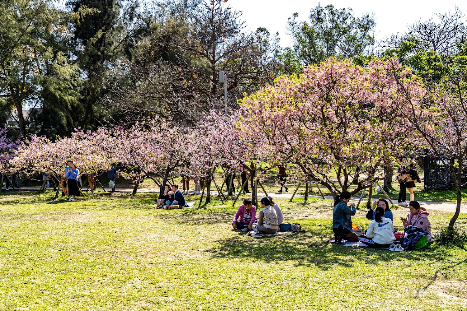 新竹景點推薦：探索香山濕地與城市公園的自然美景 