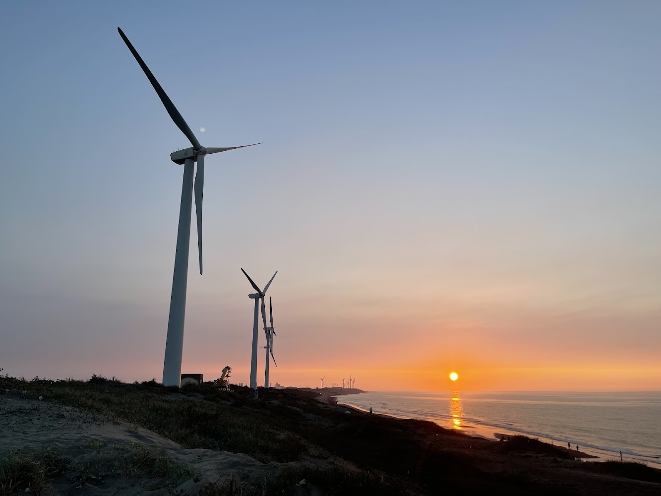 觀音草漯沙丘 - 數林子海濱段的魅力與探索