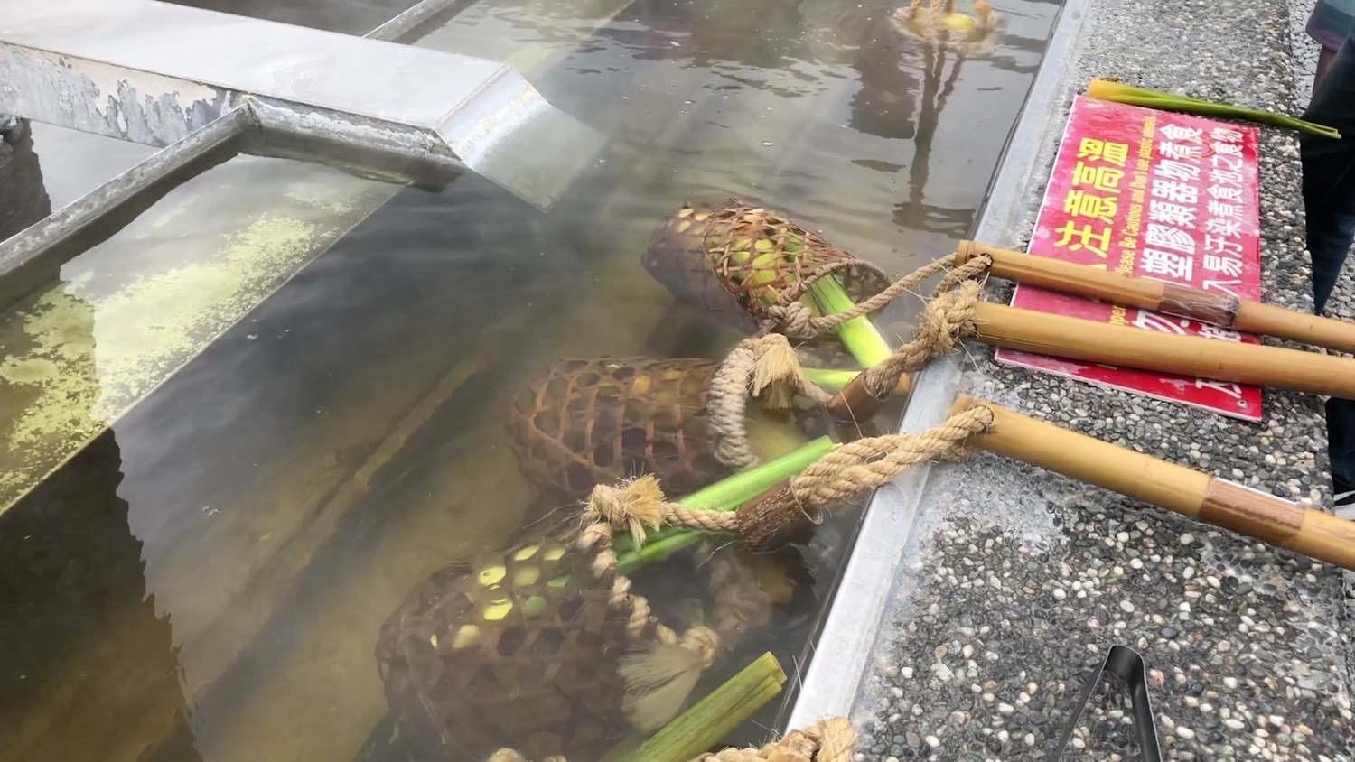 最新的一天前｜探索清水地熱公園的奇妙體驗｜為什麼這裡值得你來一探究竟