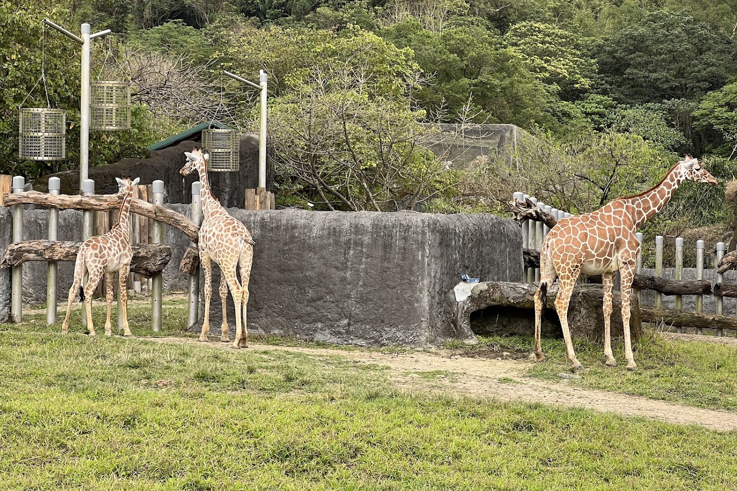 台北市立動物園