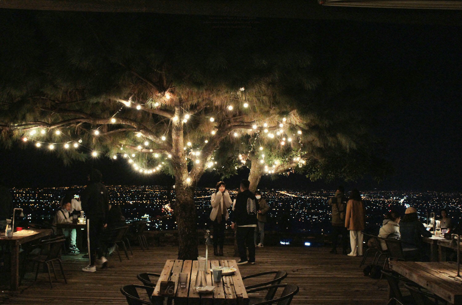 空ㄟ農場的完美夜間用餐體驗：為什麼你需要遵循接駁車指引
