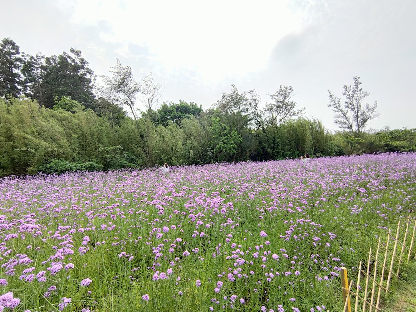 北部親子牧場好去處：適合家庭的五大推薦
