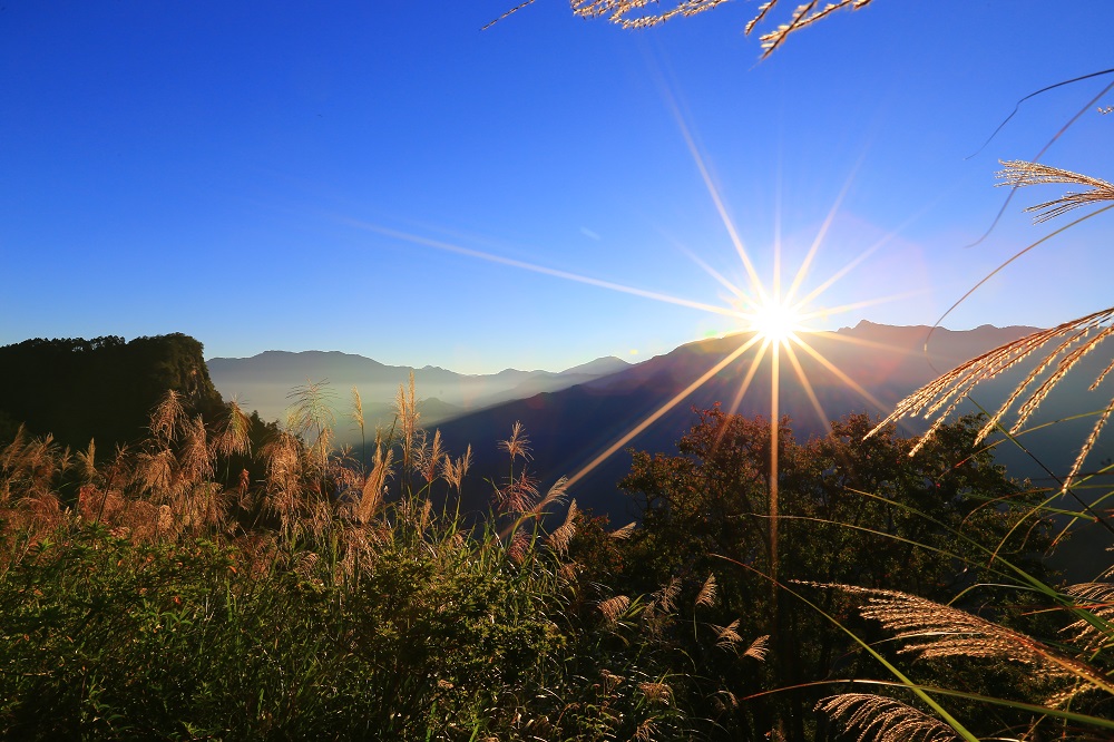探訪阿里山森林遊樂區：自然與文化的完美融合