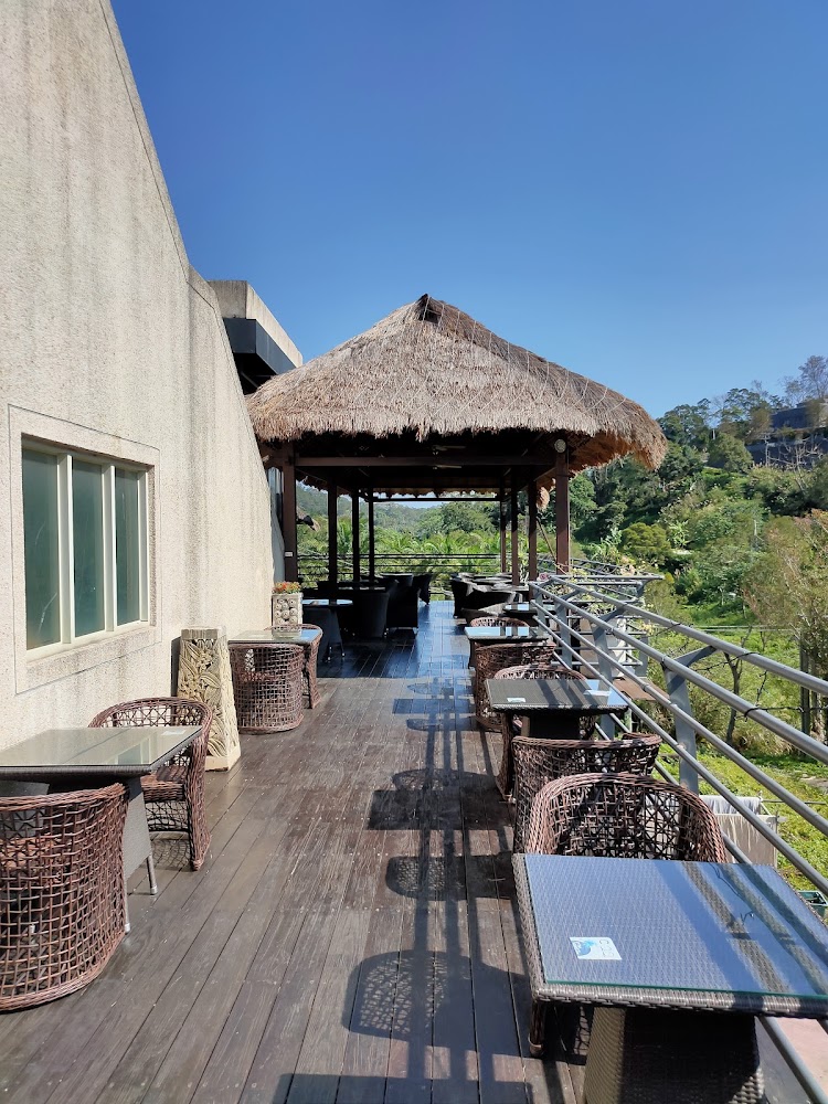 竹東咖啡廳推薦｜2025高評價特色店家：寵物友善、網美打卡、健康輕食一次收錄！