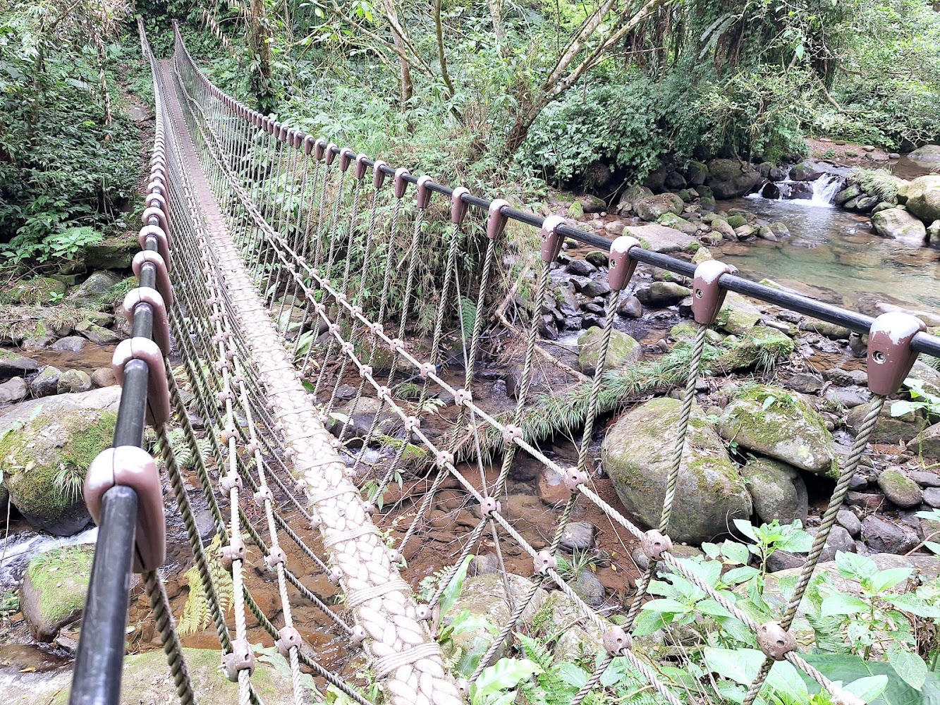 馬胎古道的探索與魅力：一段融合自然景觀與歷史記憶的旅程