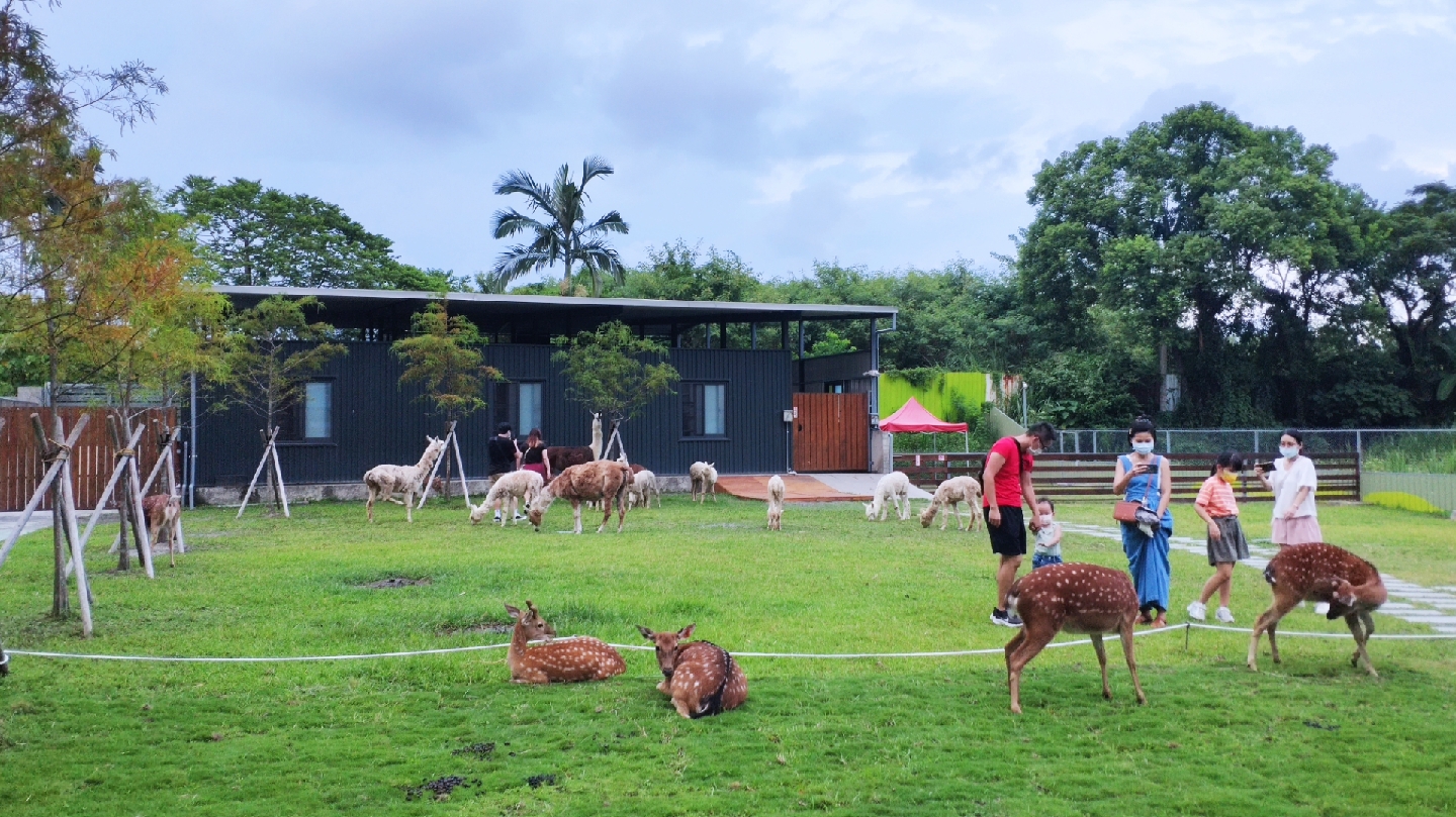 心花鹿Fun農場