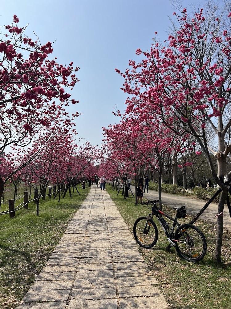 中部牧場DIY體驗：探索農場樂趣與親子互動