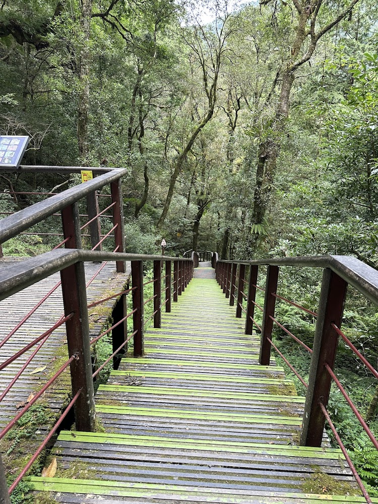 拉拉山國家森林遊樂區