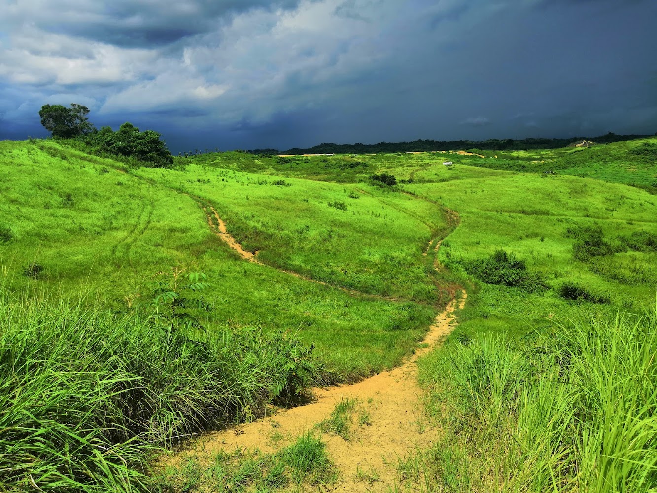 新化木架山草原