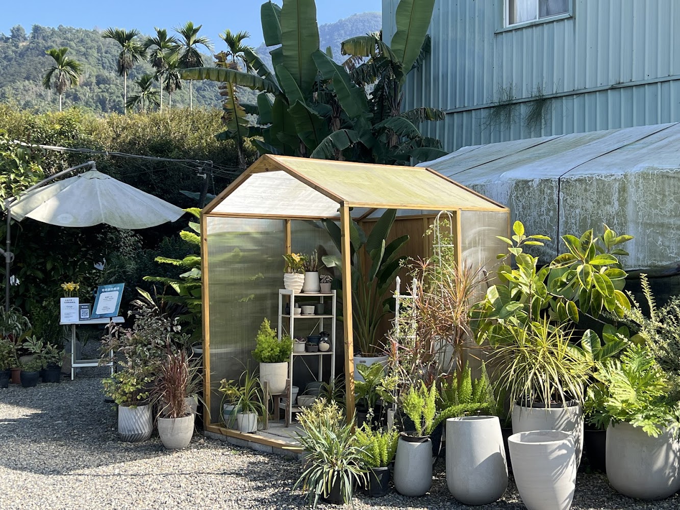 埔里宅栽觀葉農場｜室內植物天堂、DIY 課程與拍照美景一次擁有！