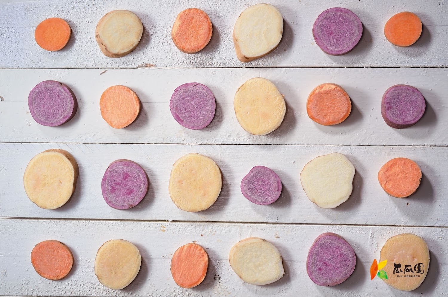 【2025台南室內景點推薦】不能錯過的雨天好去處|親子遊、文青景點、美食文化一次滿足!