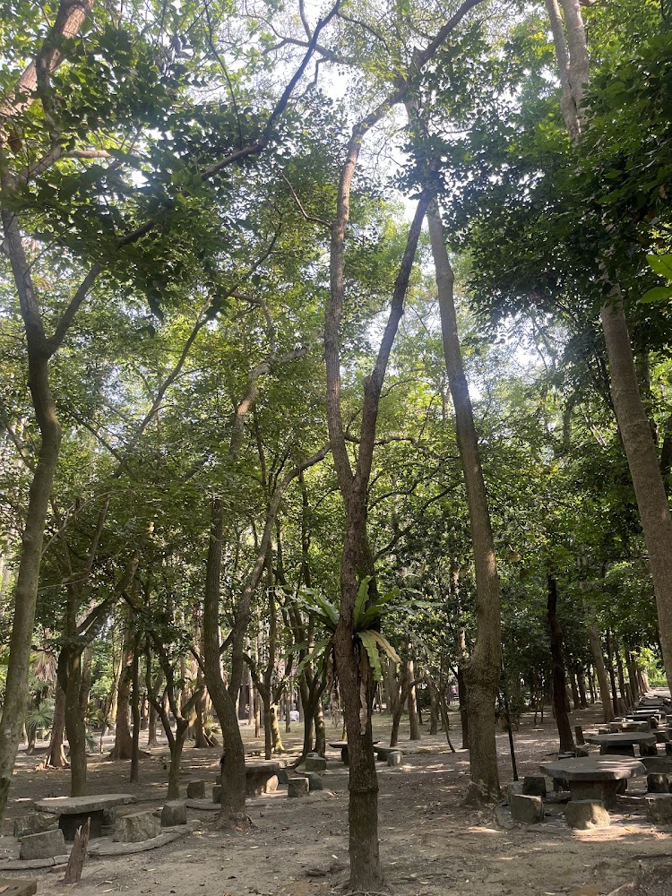 🌿南元花園休閒農場｜台南人氣親子一日遊首選，玩樂、美食、生態一次滿足！