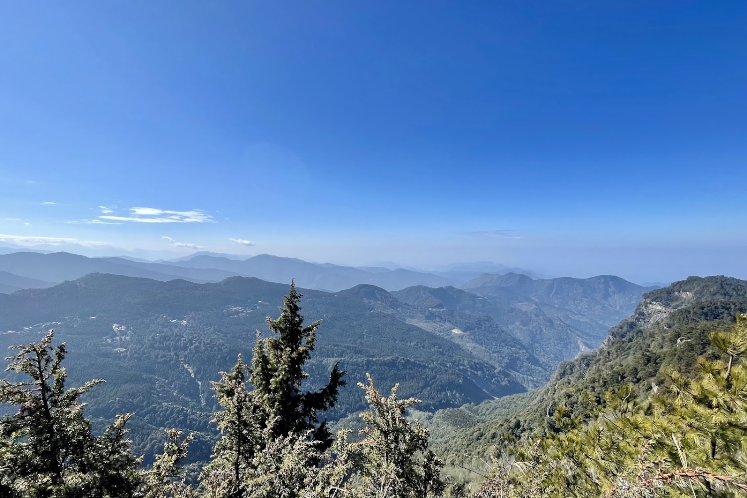 阿里山絕景推薦｜日出、雲海、拍照熱門觀景台一次看