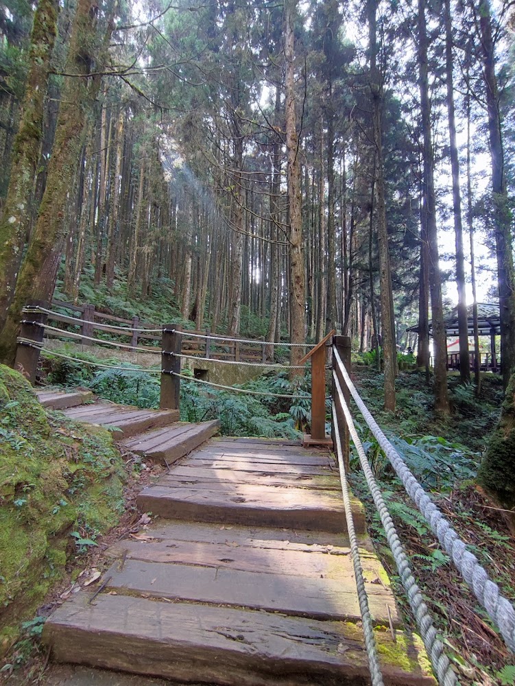 杉林溪 石井磯