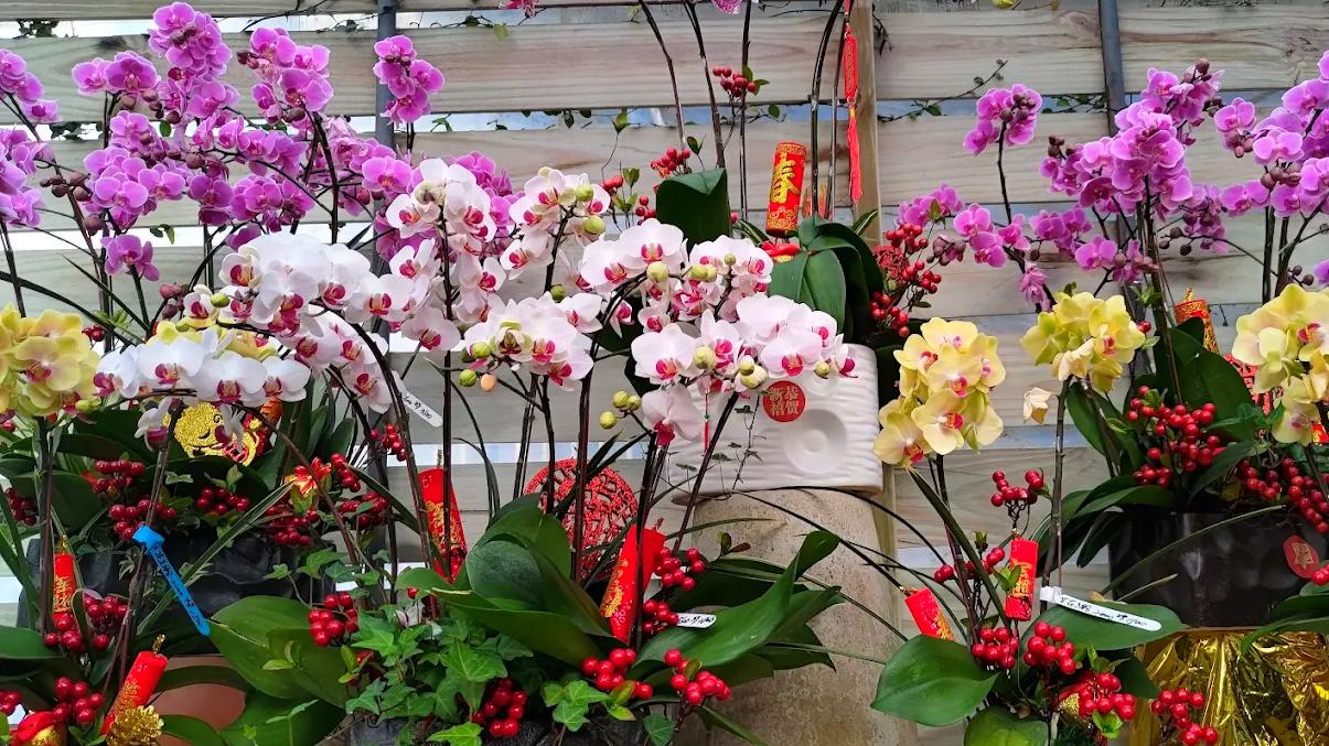 探索田尾公路花園的隱藏寶藏: 你不能錯過的亮點