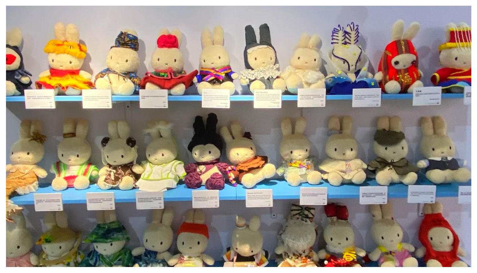 探索駁二藝術特區｜你的藝文之旅必訪地點