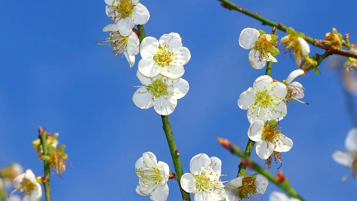 【石門水庫一日遊全攻略】賞景、健行、美食一次滿足！北台灣超人氣湖畔景點推薦