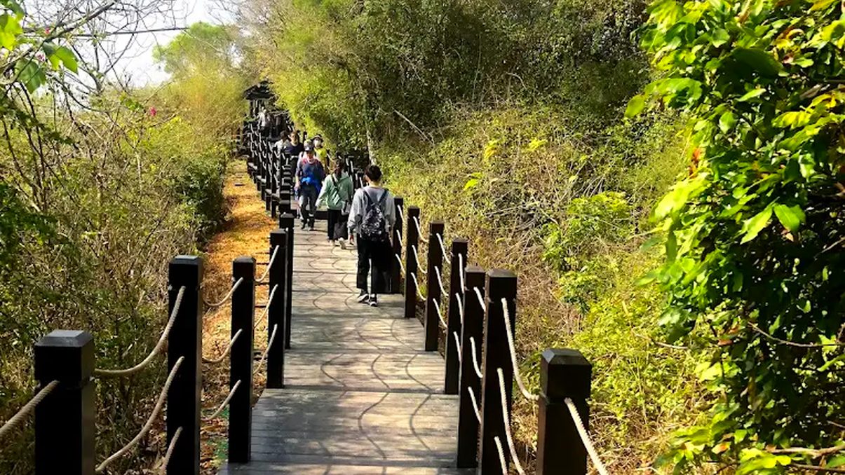 台中爬山：探索大坑登山步道的魅力