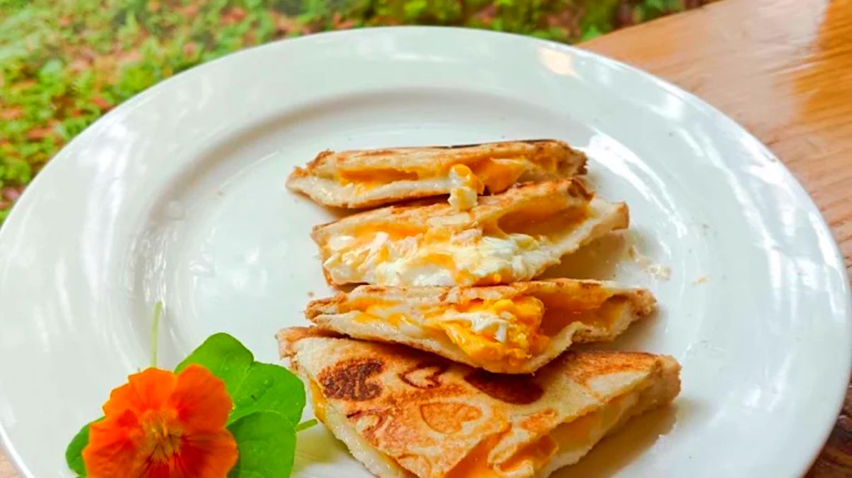 森林咖啡廳提供精緻的簡餐與點心，讓遊客在運動後能補充能量。