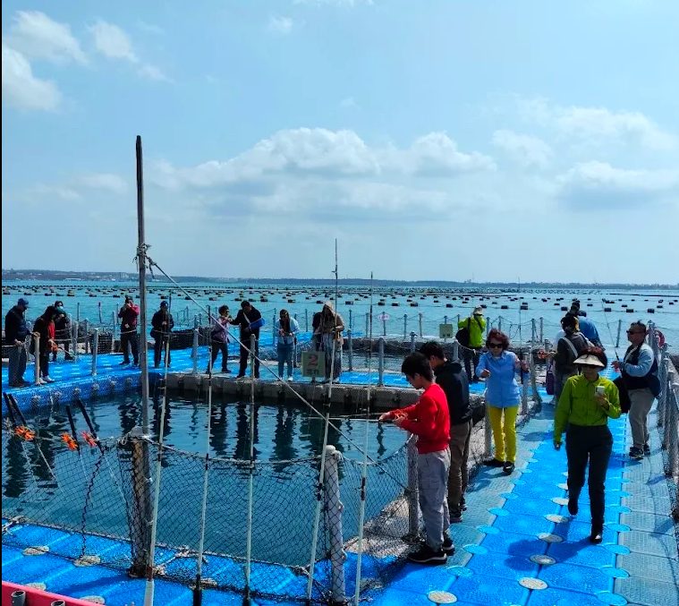 澎湖自由行：全方位指南讓你暢遊澎湖之美