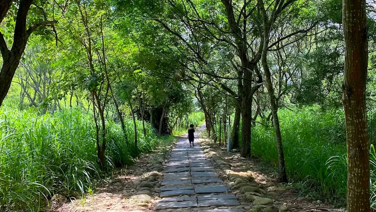台中爬山：探索大坑登山步道的魅力