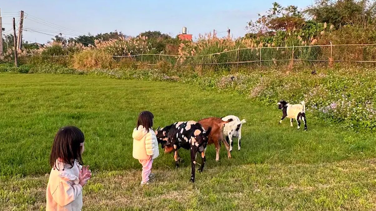 2025新北親子景點推薦｜家庭出遊輕鬆無負擔