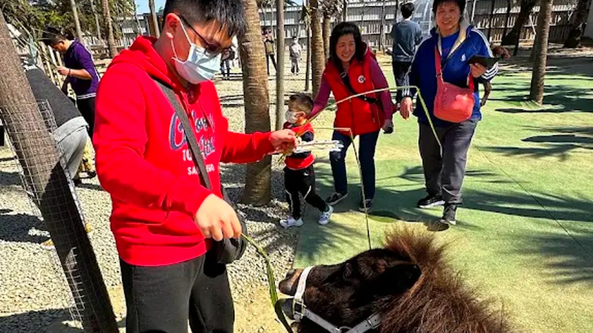 新竹一日遊攻略:探索新竹的必訪景點與美食