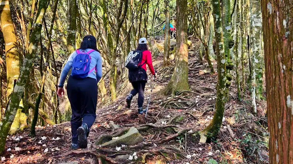 輕鬆健行：探索台灣美麗步道