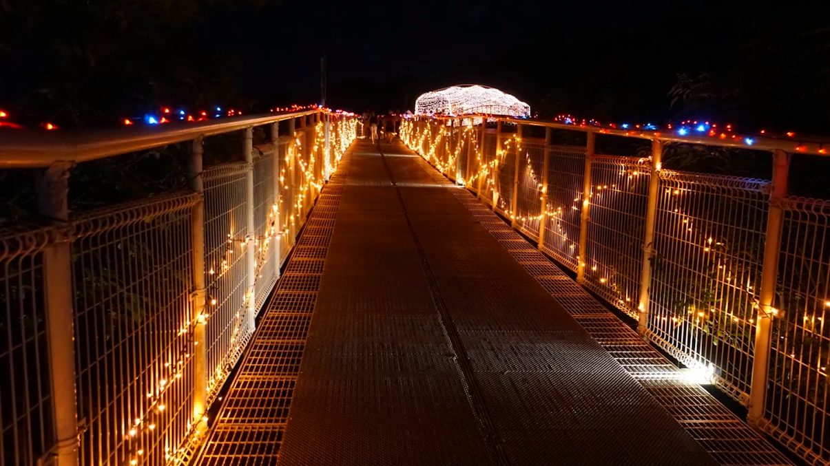 探索彰化景點：八卦山的天空步道與大佛之旅