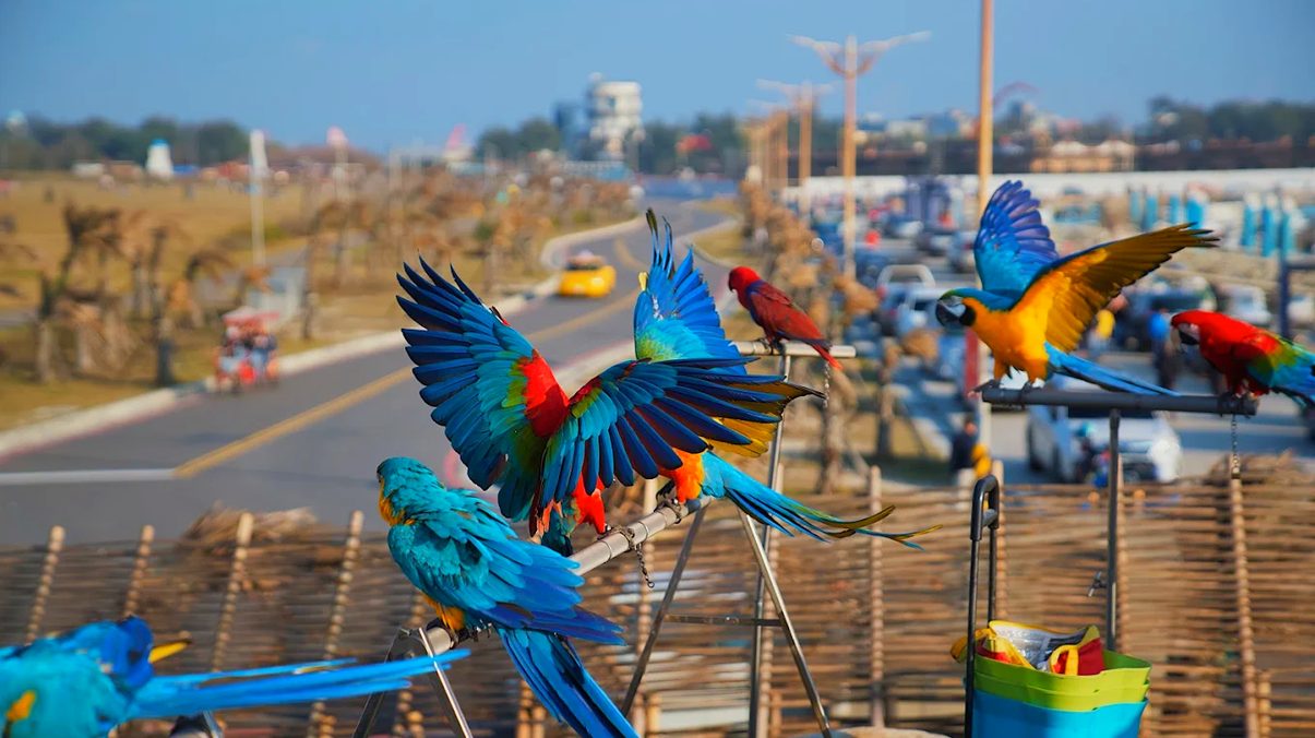 新竹一日遊攻略:探索新竹的必訪景點與美食