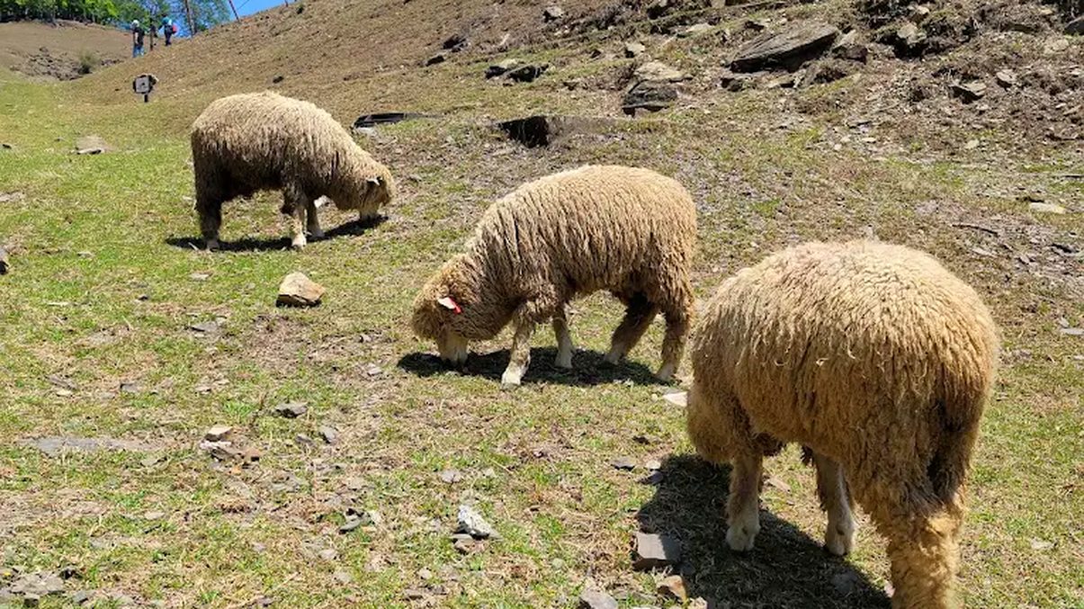 探索台灣五大壯觀瀑布秘境：天然美景與冒險體驗一次滿足！