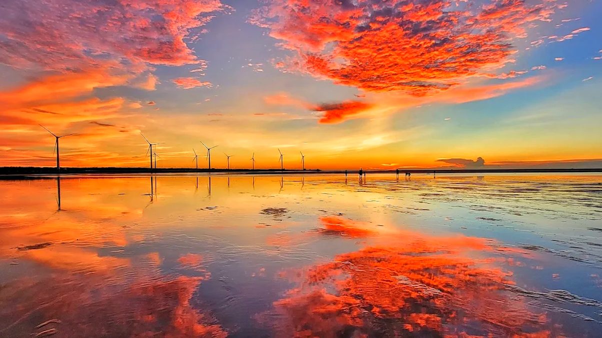 高美濕地：最佳觀賞夕陽與野生動物的秘境