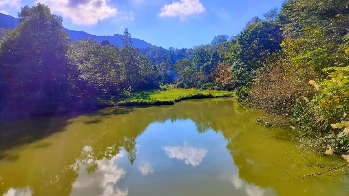 探索向天湖：苗栗最美的山間秘境