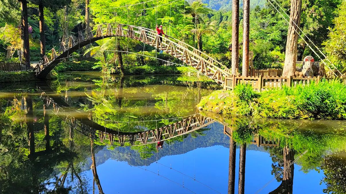 沿著南投的山與水前行，從月牙灣湖畔到溪頭森林步道，走出一段剛好的距離