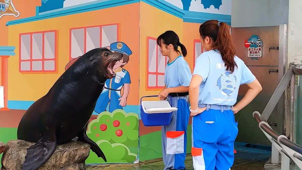遠雄海洋公園：花蓮必遊親子旅遊好去處