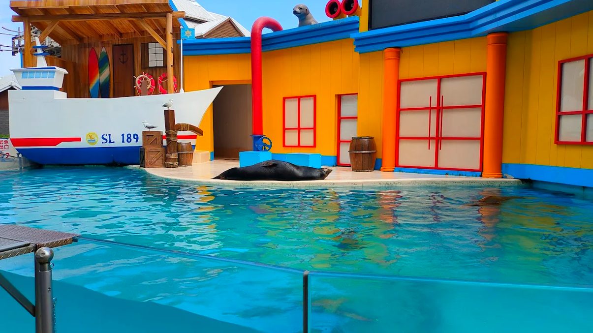遠雄海洋公園：花蓮必遊親子旅遊好去處