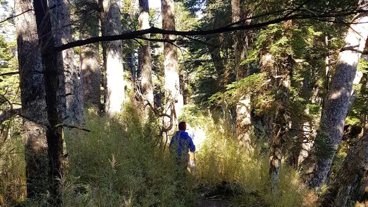 南馬洋山旅遊指南｜發掘隱藏在台灣的美麗秘境
