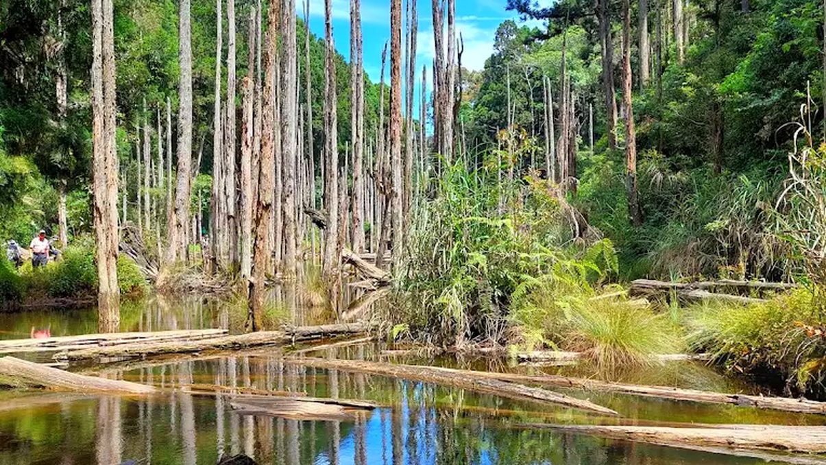 Processed_image_11_1205px_16_9